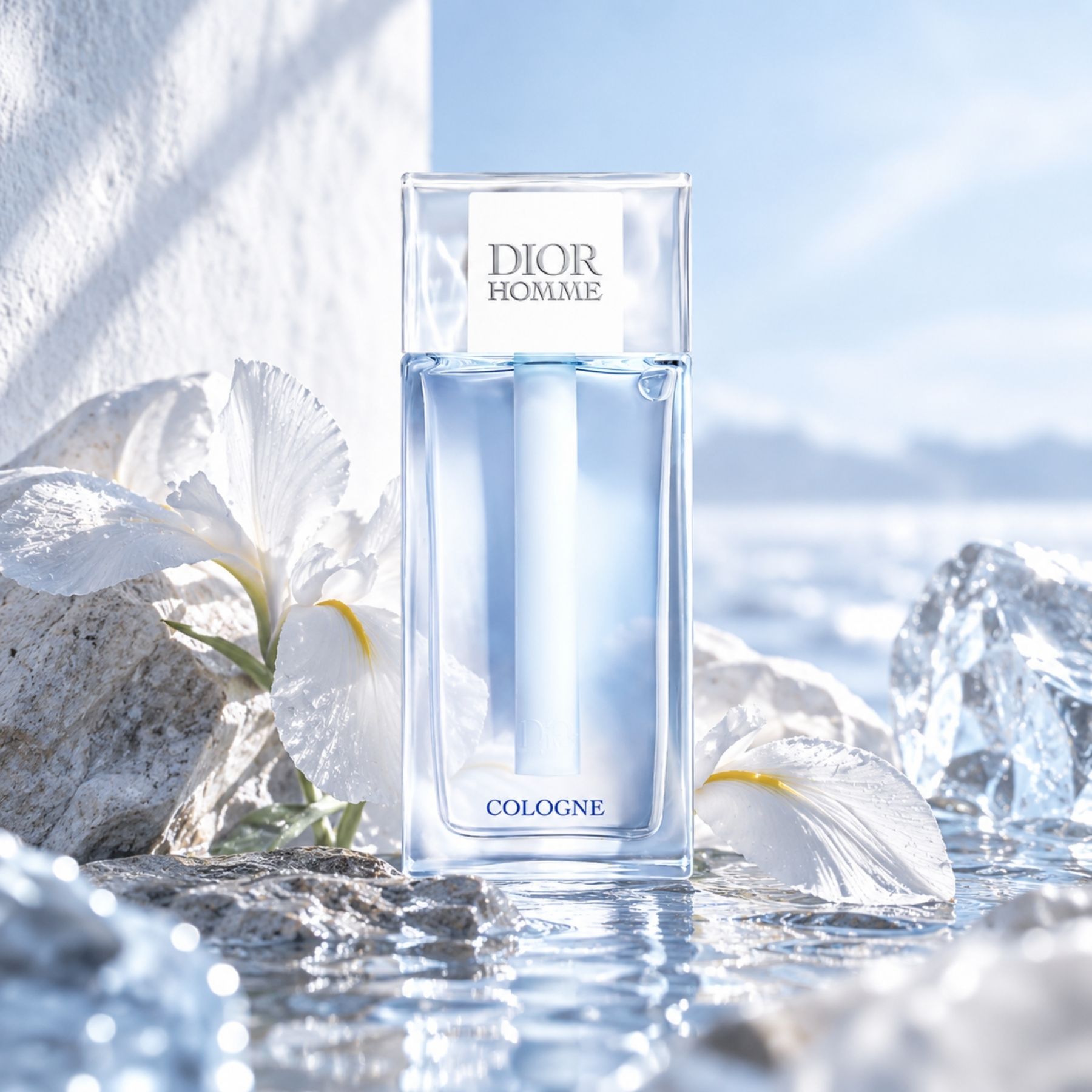 Dior Homme Cologne