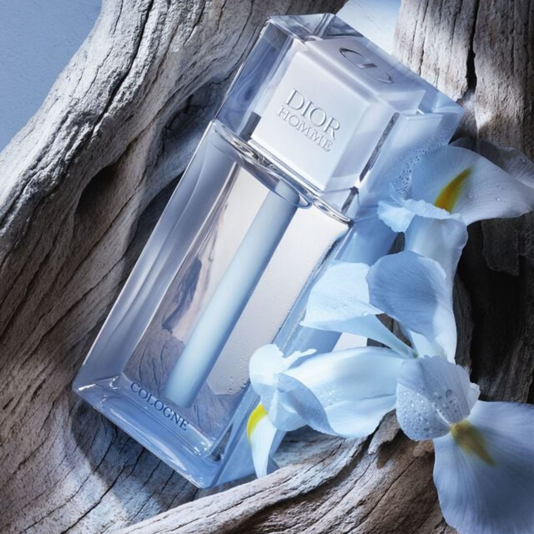 Dior Homme Cologne