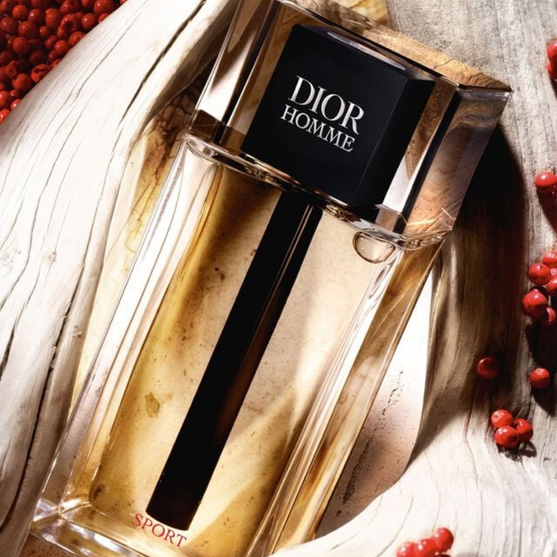 Dior Homme Sport