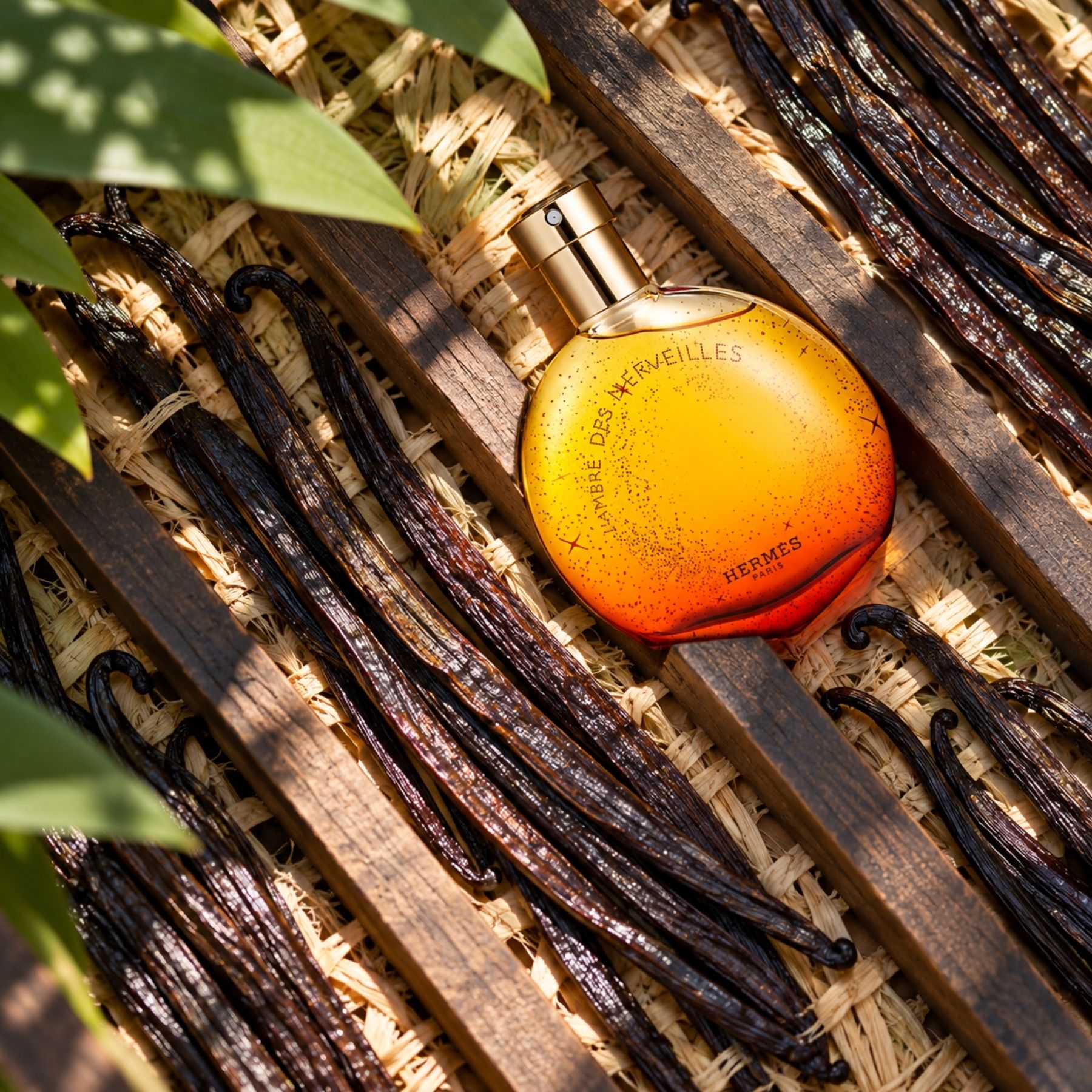 Hermès L'Ambre des Merveilles Eau de parfum