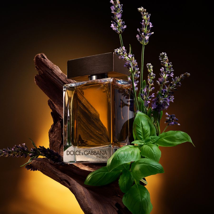 Nước Hoa Nam Dolce&Gabbana The One for Men Eau de Parfum