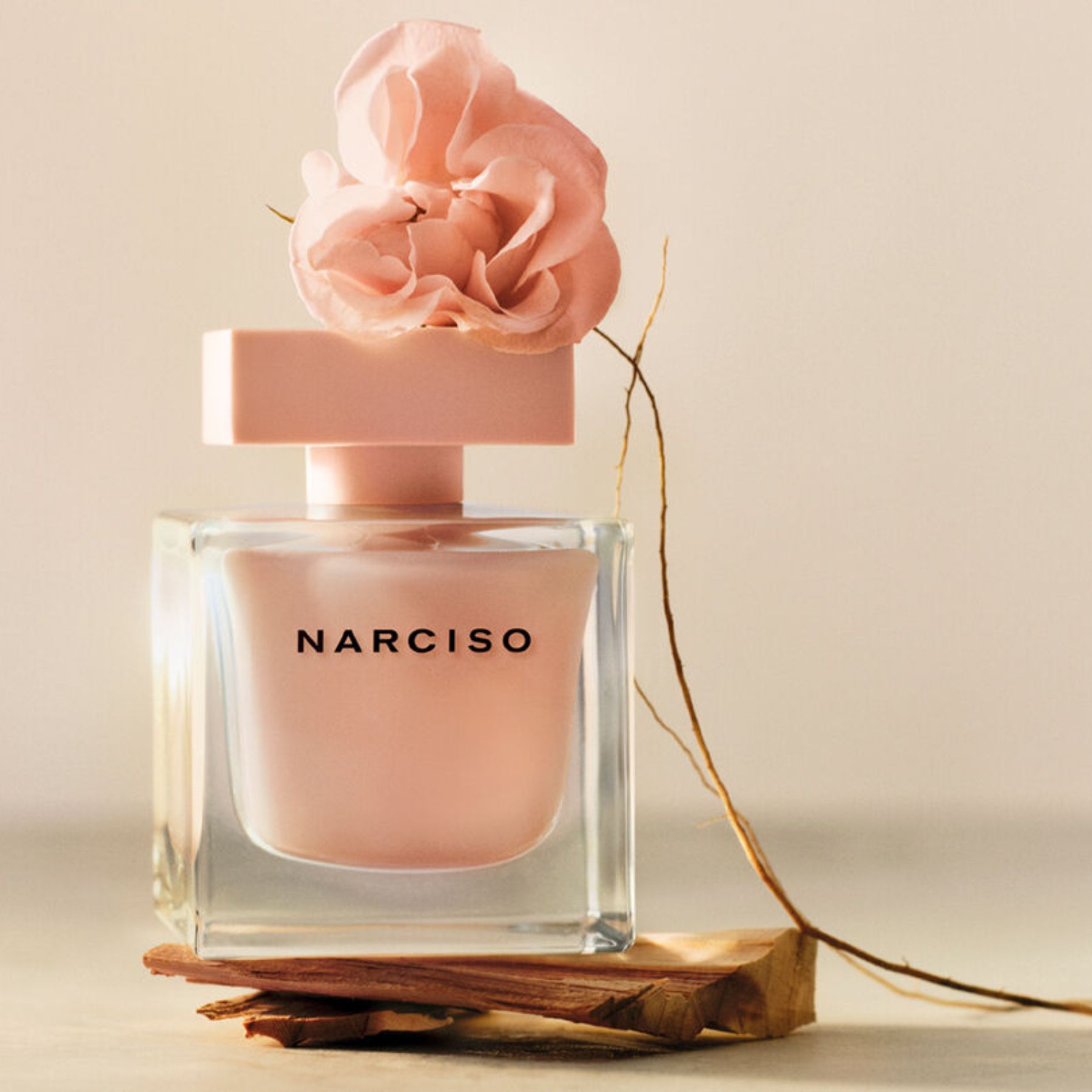 Nước hoa nữ Narciso Poudrée