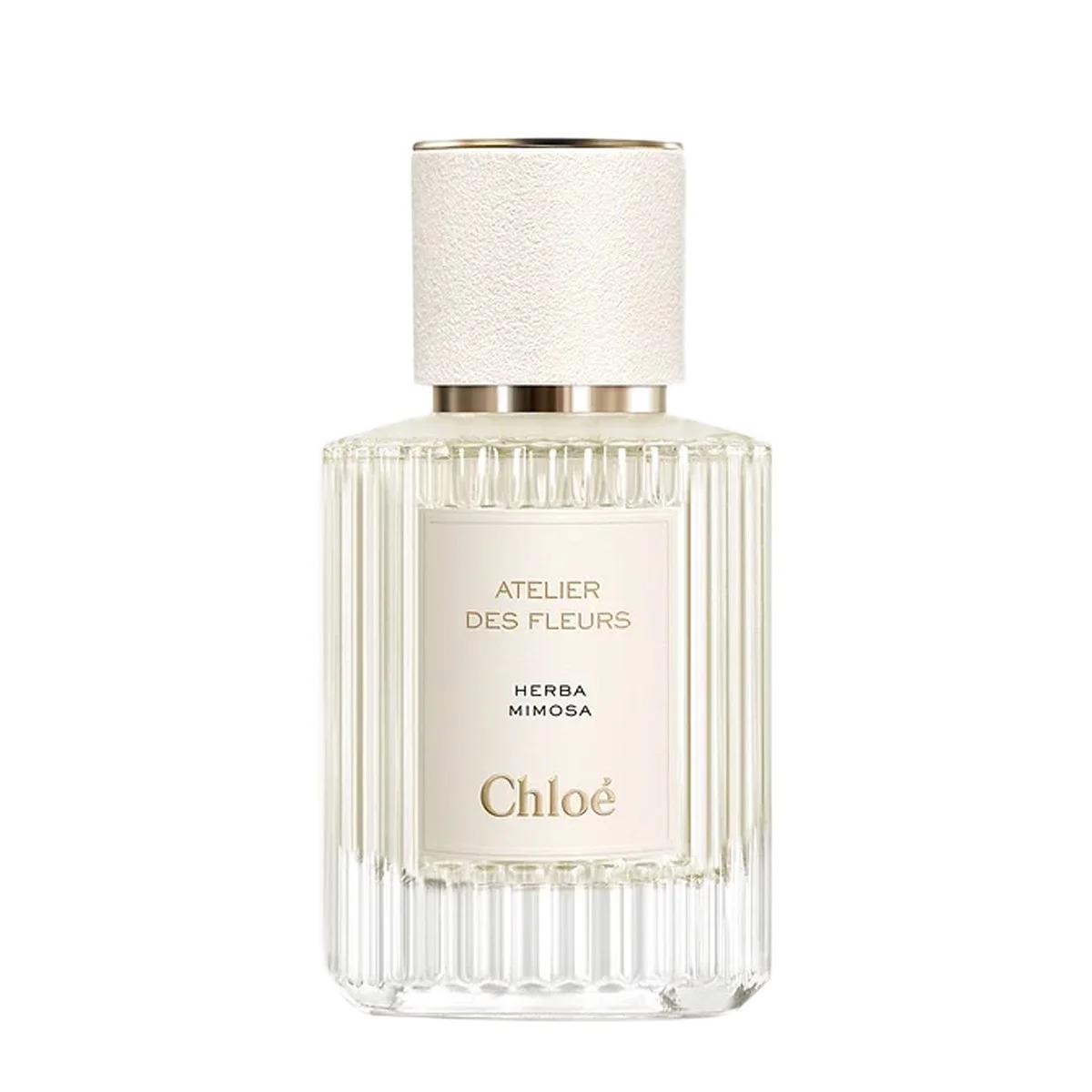 Nước hoa Chloe Atelier Des Fleurs Herba Mimosa