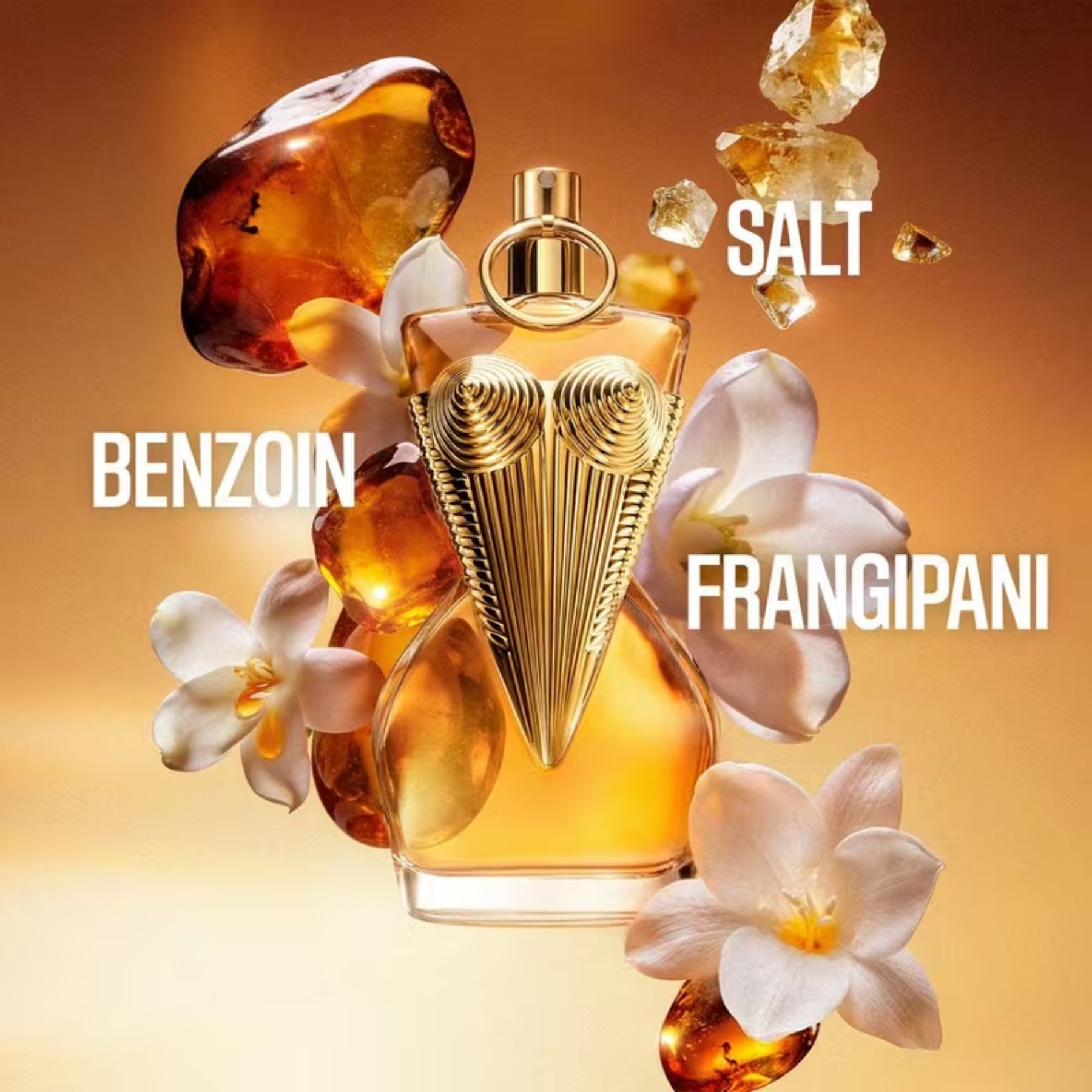Jean Paul Gaultier Gaultier Divine Le Parfum