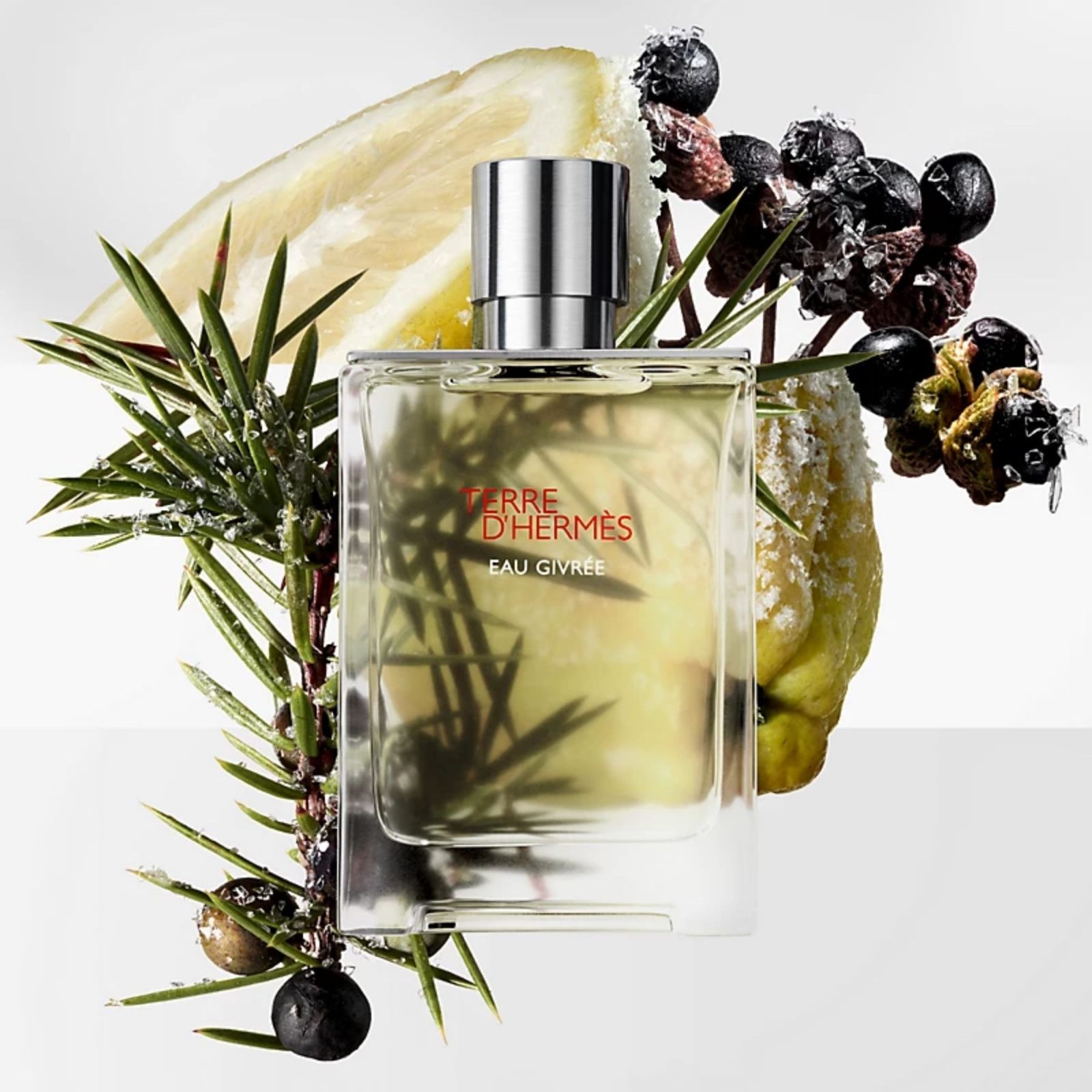 Terre d'Hermes Eau Givree