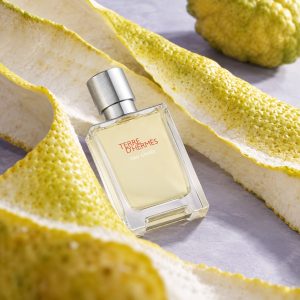 Terre d'Hermes Eau Givree