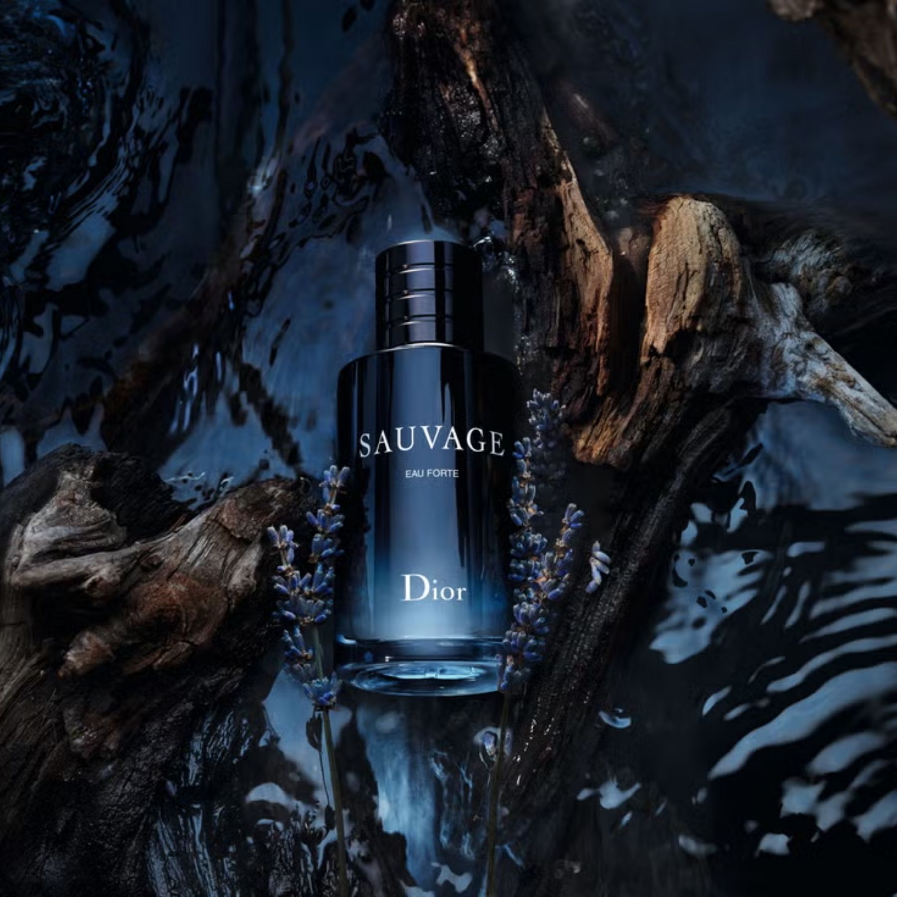 Dior Sauvage Eau Forte