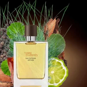 nuoc-hoa-terre-dhermes-eau-intense-vetiver-hermes-100ml-mifashop-jpg-1608950969-26122020094929
