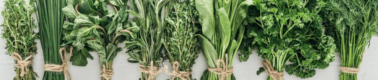 Xanh, Thảo Mộc, Dương Xỉ Và Rêu Sồi (GREENS, HERBS AND FOUGERES)