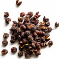 Tiêu Tứ Xuyên Timur