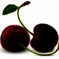 Cherry Đen