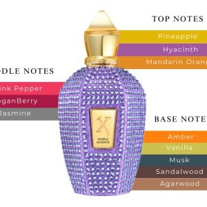 Nước Hoa Unisex Xerjoff Purple Accento EDP
