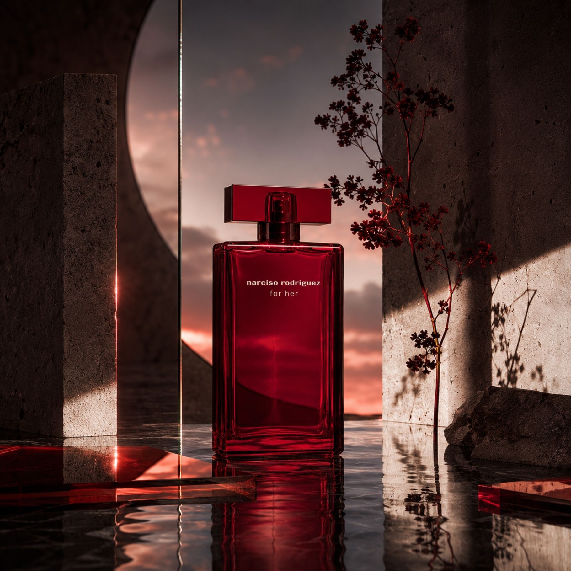 Narciso Rodriguez For Her Intense