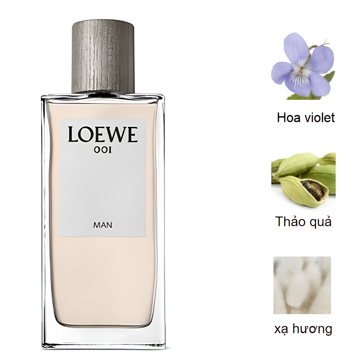 Nước Hoa Nam Loewe 001 Man Eau de Parfum