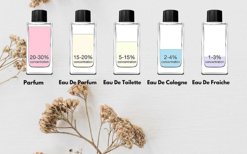 Nồng Độ Nước Hoa Là Gì? Phân Biệt EDP, EDT, Parfum, Eau Fraîche Và Cologne