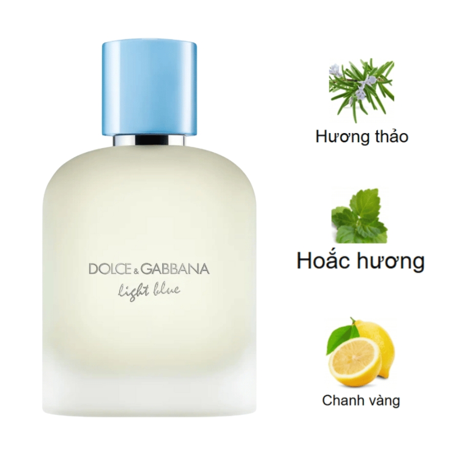 Dolce&Gabbana Light Blue Pour Homme Eau de Toilette