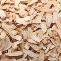Rễ Cây Bạch Chỉ