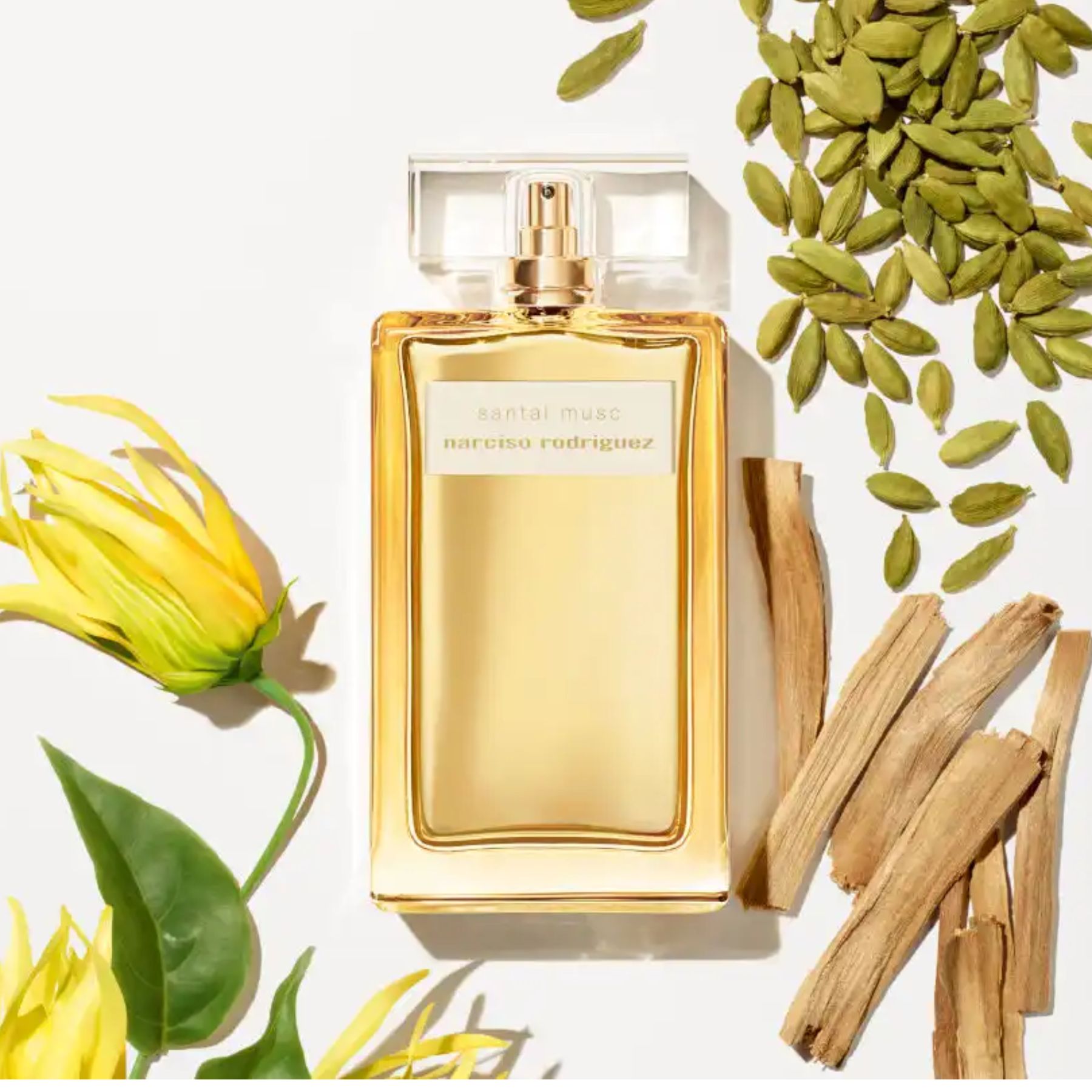Narciso Rodriguez Santal Musc