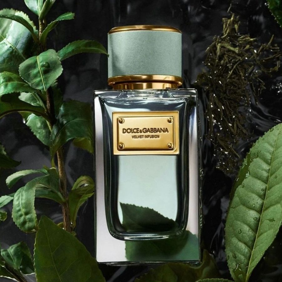 Nước Hoa Unisex Dolce&Gabbana Velvet Infusion